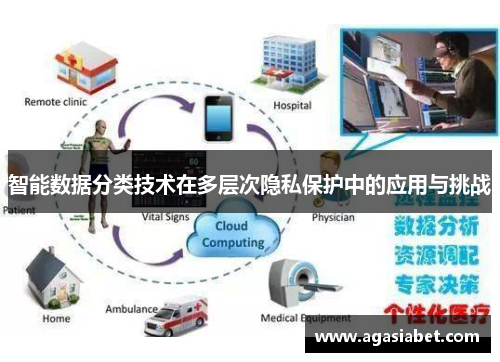 智能数据分类技术在多层次隐私保护中的应用与挑战