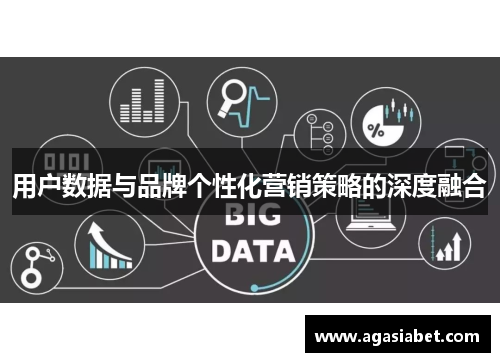 用户数据与品牌个性化营销策略的深度融合